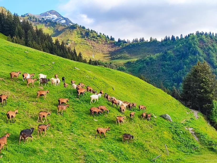 Вілла Le Banc Des Seilles Bonvillard Екстер'єр фото