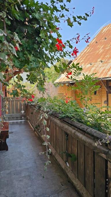 Вілла Le Banc Des Seilles Bonvillard Екстер'єр фото